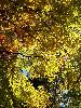 IMG_0129_l.jpg