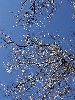IMG_0007_l.jpg