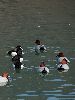 IMG_0030_l.jpg