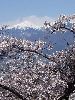 DSCF2849_l.jpg