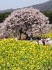 IMG_0092_l.jpg