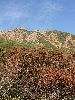 DSCF1075_l.jpg