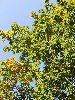 DSCF1334_l.jpg