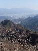 DSCF0744_l.jpg
