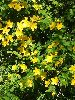 DSCF2052_l.jpg