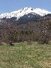 DSCF2247_l.jpg