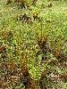 DSCF2323_l.jpg