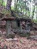 DSCF2346_l.jpg
