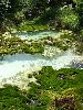 DSCF2766_l.jpg
