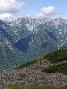DSCF3316_l.jpg