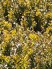 DSCF3426_l.jpg