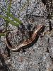EPL14069_l.jpg