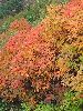 DSCF3902_l.jpg
