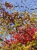 DSCF1159_l.jpg