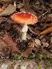 EPL14288_l.jpg