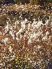 DSCF1267_l.jpg