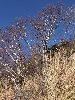 DSCF1668_l.jpg