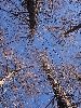 DSCF1797_l.jpg