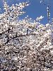 DSCF2637_l.jpg