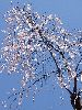 DSCF2791_l.jpg