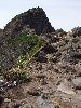 DSCF3226_l.jpg