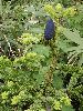 EPL15744_l.jpg