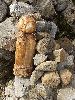 DSCF4092_l.jpg