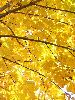DSCF4818_l.jpg