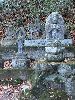 DSCF4979_l.jpg