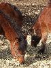 DSCF5193_l.jpg