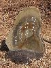 DSCF5244_l.jpg