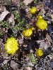 P1000037_r.jpg