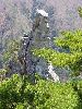 DSCF6649_l.jpg