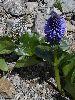P1010205_l.jpg