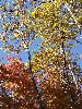 DSCF8483_l.jpg