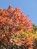 DSCF8498_l.jpg