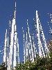 DSCF8506_l.jpg