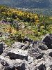 DSCF8515_l.jpg