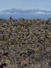 DSCF8527_l.jpg