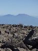 DSCF8528_l.jpg