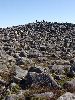 DSCF8547_l.jpg