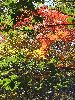 DSCF8579_l.jpg