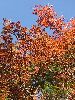 DSCF8758_l.jpg