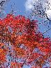 DSCF9434_l.jpg