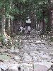 DSCF9582_l.jpg