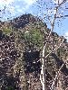 DSCF2095_l.jpg