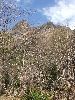 DSCF2142_l.jpg