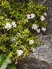 P1030521_l.jpg