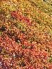 DSCF3553_l.jpg