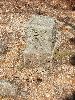 DSCF3664_l.jpg